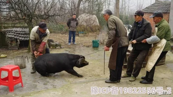 神一样的对手让人敬畏，王者荣耀中那些令人哭笑不得的猪队友大盘点