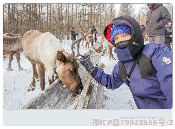 欧美人与牲口杂交：探索自然界的和谐共生关系