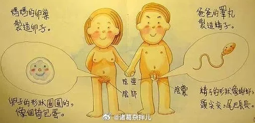 男生插女生鸡鸡视频其实是指健康的两性教育和解剖学知识普及，通过科学的视频教学帮助青少年正确认识人体结构和功能，促进身心健康发展