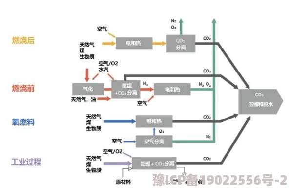 《我的世界》植物耕种深度使用技巧：高效种植与收获策略分析指南