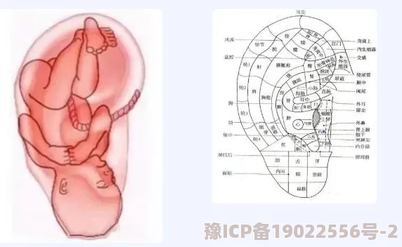 《射雕英雄传手游》全新经脉系统功能深度解析与玩法特色介绍