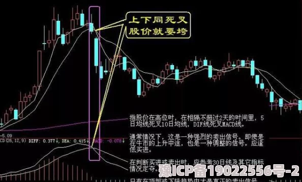 大富豪3深度解析：掌握股市操盘秘籍，全面解锁股市资源大全指南