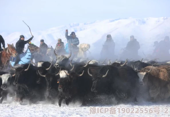 梦幻西游手游冰雪狂欢季盛大开启，新服礼上礼惊喜来袭，12月2日震撼开服公告！