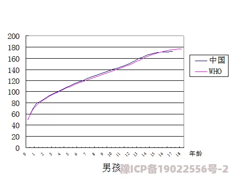 亚洲日本欧美日韩精品最新进展消息：随着国际市场需求的增长，亚洲地区的影视作品在全球范围内获得了更高的关注与认可