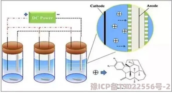 嗯……啊……轻点科学家发现新型细菌可降解塑料垃圾