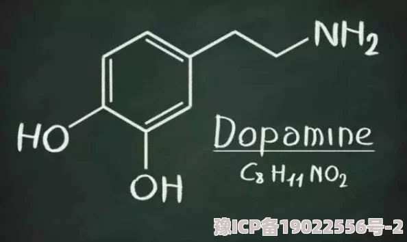 h高潮娇喘抽搐最新研究表明这种反应与大脑多巴胺释放有关