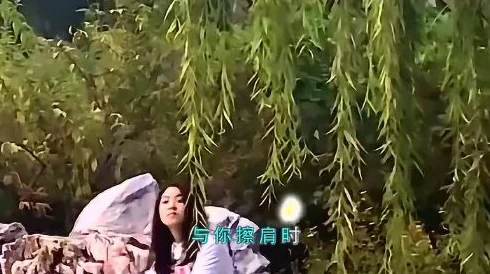 我爱背入这首歌旋律优美，歌词意境深远，很有感染力