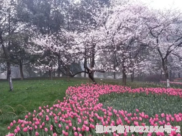 99热久这里都是精品小草春季赏花活动即将开始