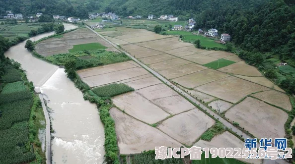 国产乡下三级农民自制无人机助力农田管理效率提升