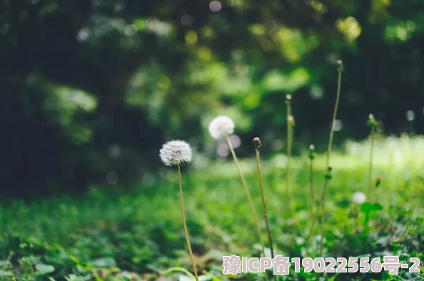 色中色app水乡的春天春暖花开万物复苏心怀希望迎接美好未来