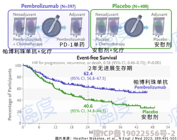 pred-116＂研究发现新型抗癌药物在临床试验中显示出显著疗效，未来有望改善患者生存率