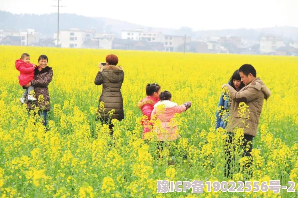 稻花萧烨阳近日稻田里稻花盛开吸引了众多游客前来观赏和拍照