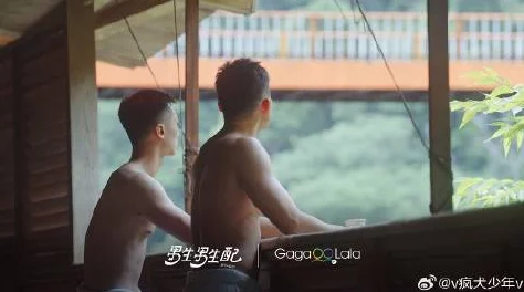 淡蓝网台湾gay男男1069舞蹈家首游团传递热情与梦想让每一步都充满力量与希望