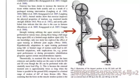 素股摩擦近日研究发现素股摩擦在运动中对肌肉疲劳的影响显著