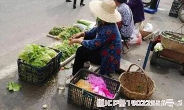 新婚妻子与卖菜老板夫妻俩在市场偶遇，老板赠送新鲜蔬菜，温馨互动引围观