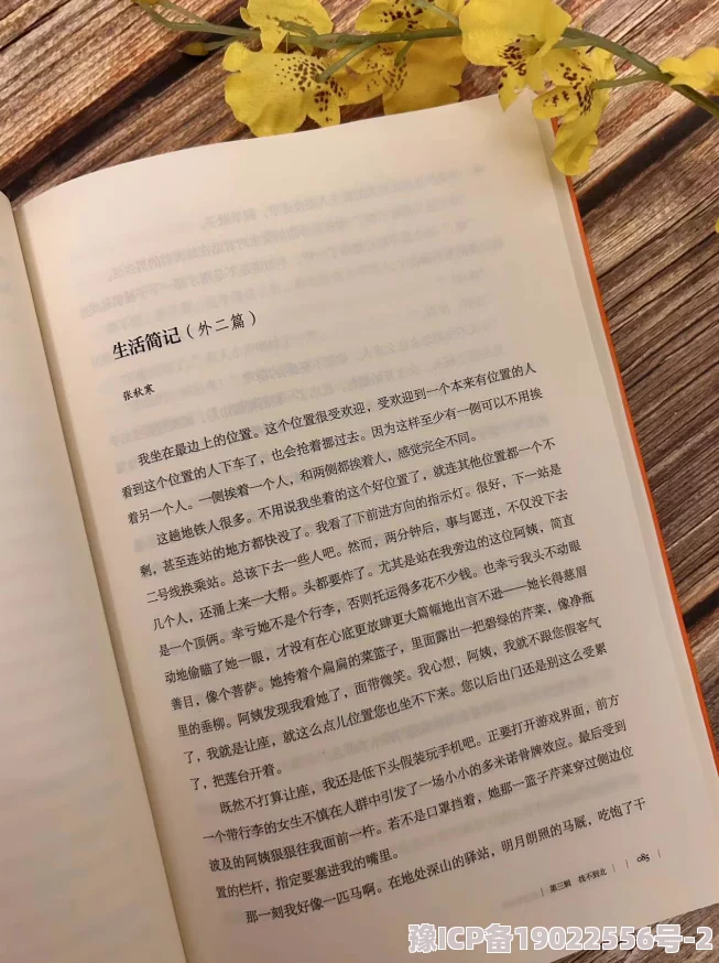 家庭激情小说让爱与理解在每个角落绽放，温暖彼此心灵，共同创造美好未来