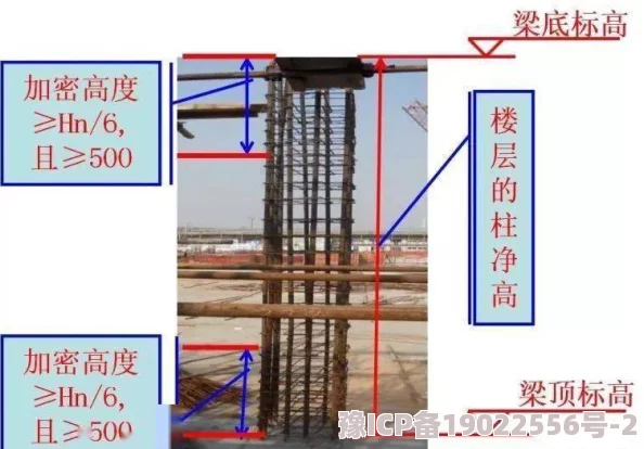 明日之后蓝图使用秘籍大公开！惊喜新功能助你轻松掌握蓝图使用方法介绍