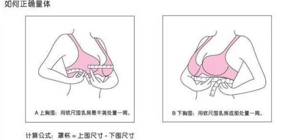 大乳boobs巨大ww尺码再升级新增高清图集等你来看