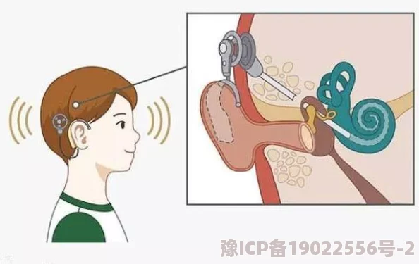 微啪下载全新功能上线用户体验大幅提升