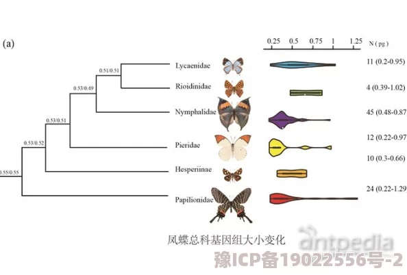 黑人鸡鸡尺寸研究取得新进展科学家发现影响因素包括基因和环境