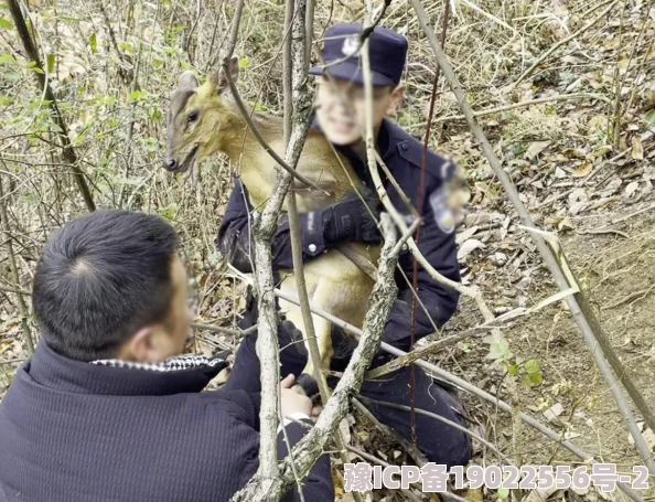 看公狍和女人做爰调查已介入情节严重警方正在全力侦破