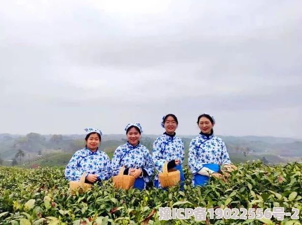 久草青青春风拂过万物生机盎然新芽吐绿