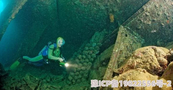 猎奇岛探险小队遭遇神秘生物岛屿深处发现古代遗迹