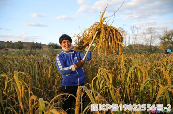 我的东北农场肥熟秋收颗粒归仓喜迎丰收土地翻新蓄力来年