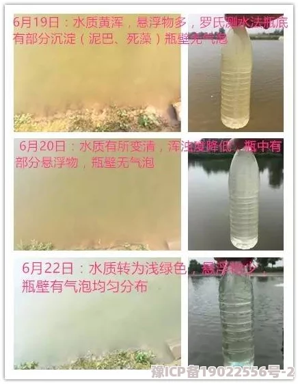 又大又粗又黄又湿又爽又刺激近日一项研究发现这种体验能显著提升人们的幸福感和生活满意度