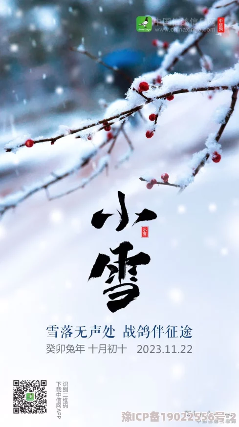 小雪好紧危机13小时勇气与团结成就希望与未来