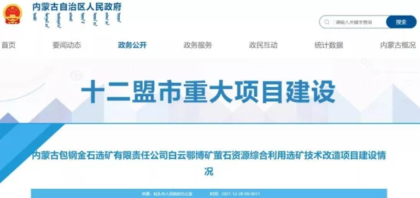 搞麻批项目进展顺利核心功能已完成测试即将进入用户体验优化阶段