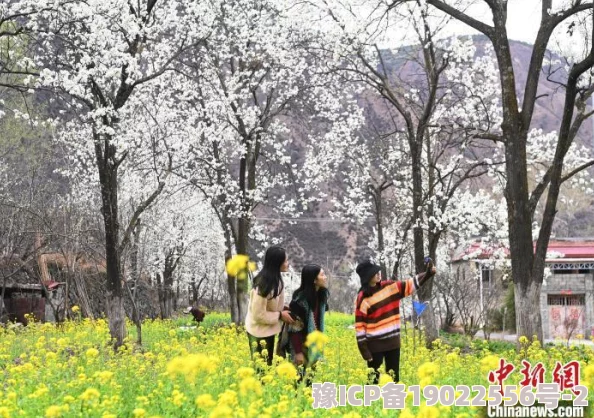 偷窥自拍桃花满地近日桃花盛开吸引众多游客前来拍照留念