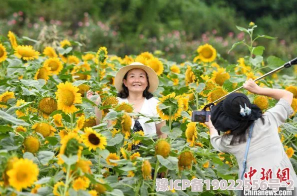 偷窥自拍桃花满地近日桃花盛开吸引众多游客前来拍照留念