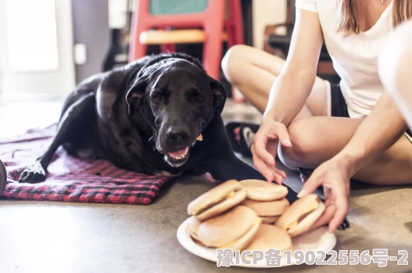 女邻居被做得嗷嗷叫邻居解释是宠物狗在玩耍