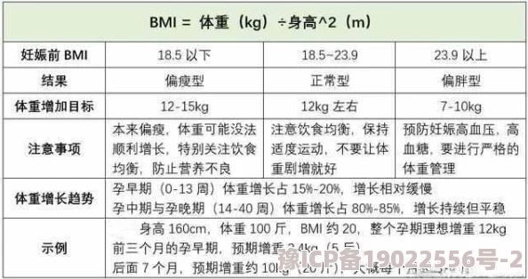 喂饱我近日研究发现适量饮食能显著提升工作效率和生活质量