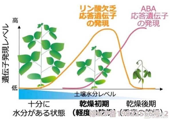 乱岳近日科学家发现了一种新型植物，具有独特的抗旱能力，或将改变农业灌溉方式