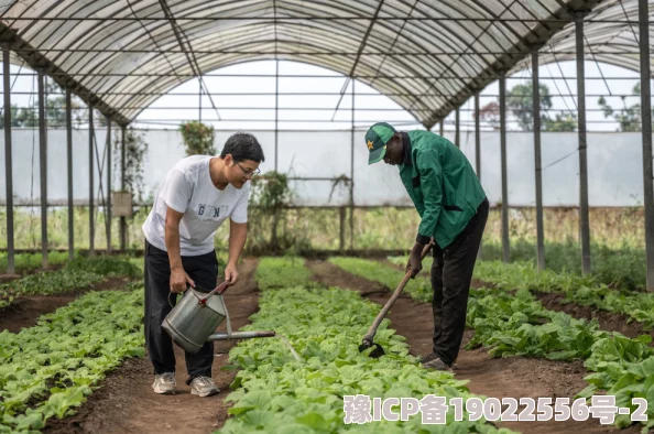 口球捆绑塑料大棚让我们共同创造绿色未来，收获丰收的希望与梦想