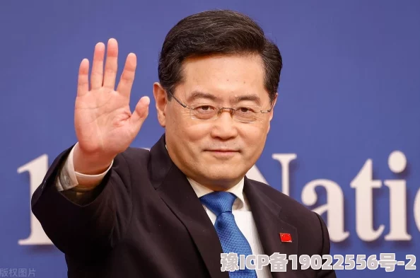 猎码计划平民阵容大揭秘：新手必备搭配与2023最新攻略深度解析