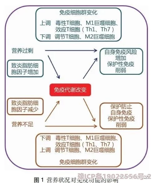 a级三级带探索其耐用性及不同环境下的性能表现研究