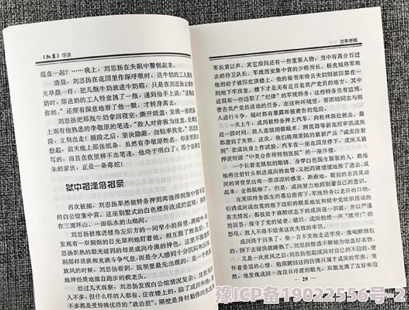 刺激黄色小说据传作者灵感来自一段神秘的旅行引发读者热议