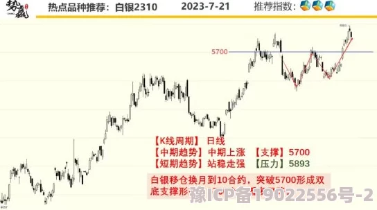 国产99久久久国产精品潘金网站服务器瘫痪访问量激增