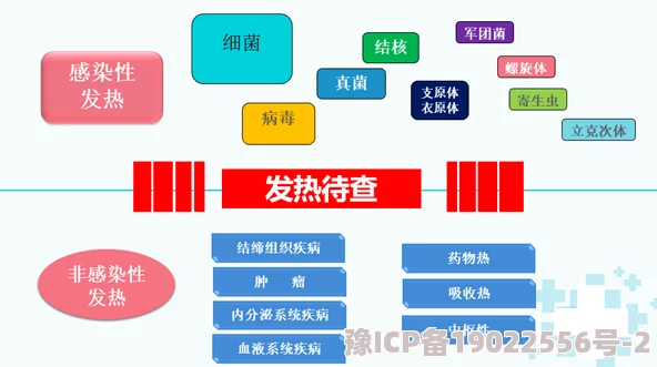 write.as小花抽肿用户反馈平台充斥大量色情暴力内容平台监管不力