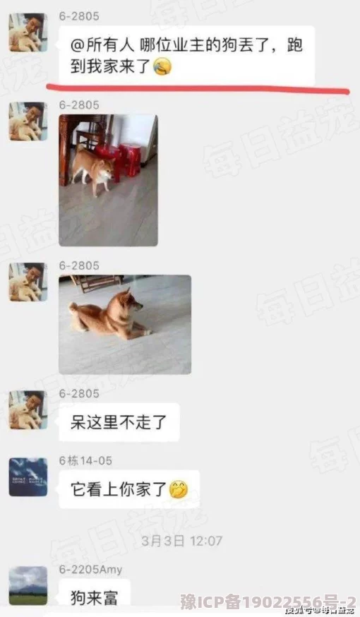 调教奴隶母狗听说隔壁老王家新来的保姆也喜欢养狗每天遛狗都要绕小区三圈