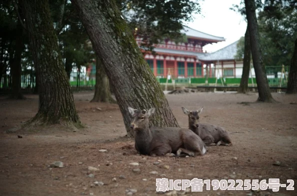 久久人空中庭园心灵的栖息地让我们在繁忙中找到宁静与美好