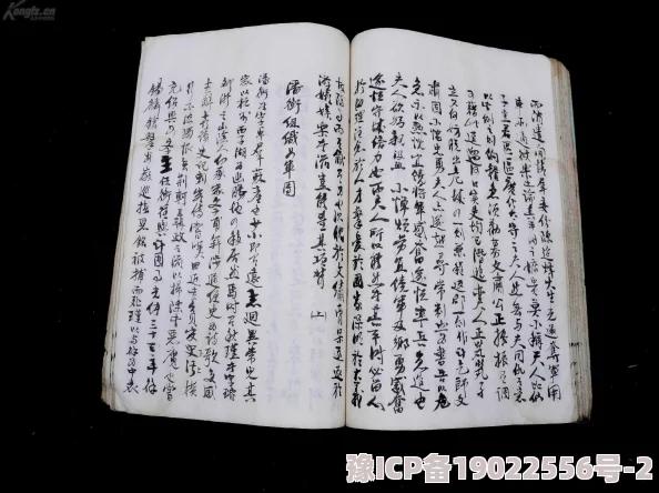 三级小说第一页据传手稿曾被神秘富商高价收购引发圈内人士热议