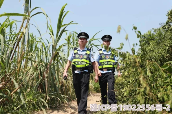 日日爽夜夜爽指工作学习生活充满活力每天都有收获夜晚也轻松愉快