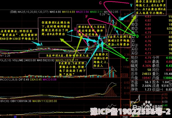 揭秘最强祖师股市秘籍：深度分析技巧+最新市场动态爆料+实战攻略全解析