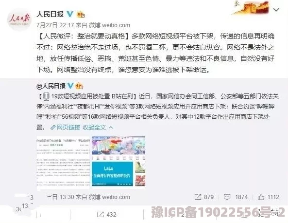 网站污网友称内容低俗传播不良信息影响青少年