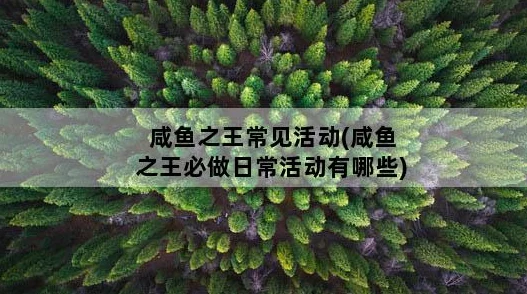 咸鱼之王咖啡获取方法全面汇总及最新活动动态深度爆料解析