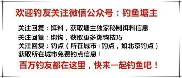 揭秘欢乐钓鱼大师赚钱秘籍：最新高效技巧与未被发掘方法，助你轻松斩获巨额收益！